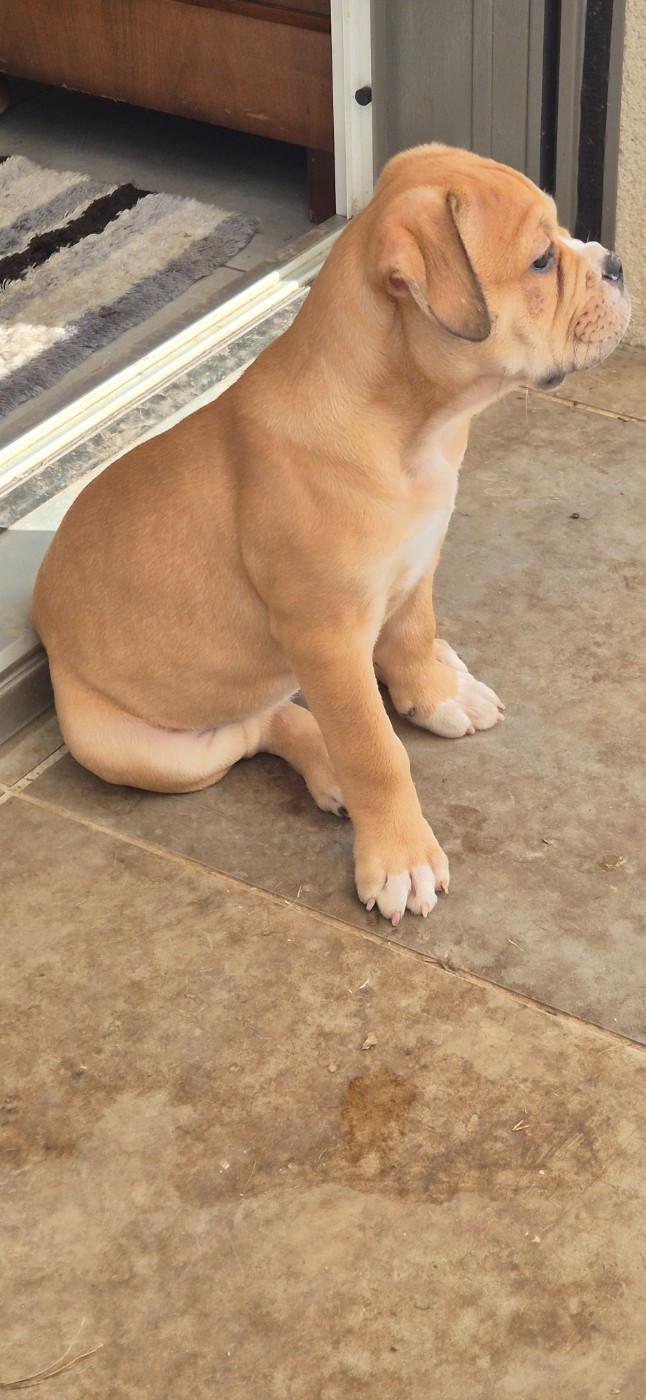 ABRACADABRA Des sources sacrees