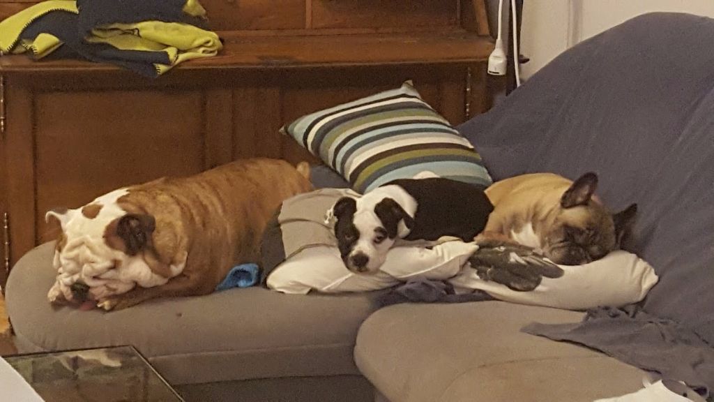 LES TRIOS